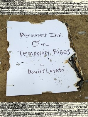 cover image of Permanent Ink on Temporary Pages